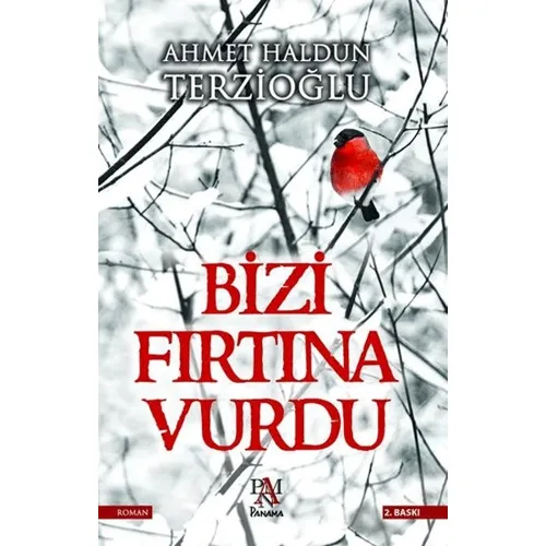 Bizi Fırtına Vurdu - Ahmet Haldun Terzioğlu - Panama Yayıncılık
