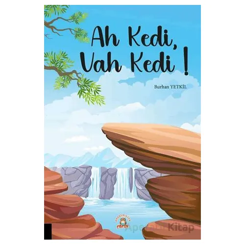 Ah Kedi, Vah Kedi - Burhan Yetkil - Akademisyen Kitabevi