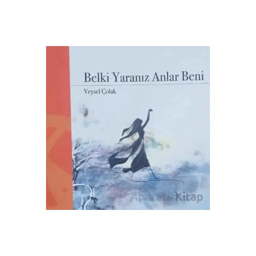 Belki Yaranız Anlar Beni - Veysel Çolak - Hayal Yayınları
