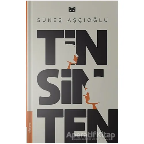 Tin Sin Ten - Güneş Aşçıoğlu - Vaveyla Yayıncılık