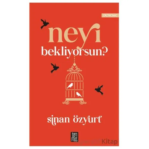 Neyi Bekliyorsun? - Sinan Özyurt - Temmuz Yayınları