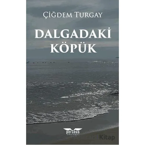 Dalgadaki Köpük - Çiğdem Turgay - Perseus