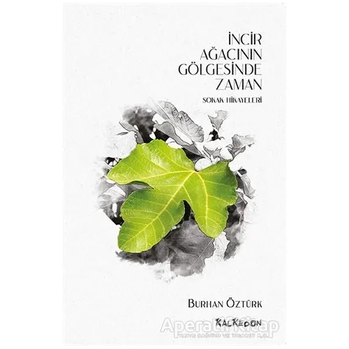 İncir Ağacının Gölgesinde Zaman - Burhan Öztürk - Kalkedon Yayıncılık