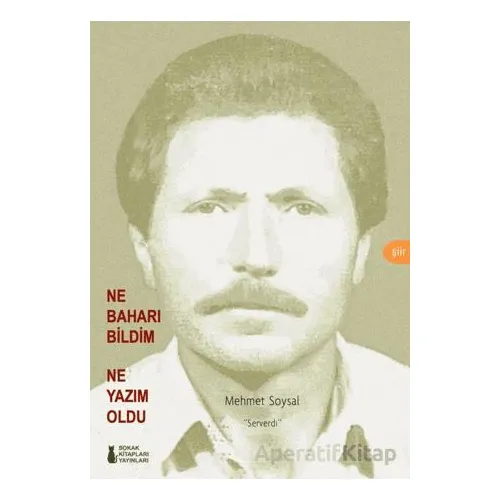 Ne Baharı Bildim Ne Yazım Oldu - Mehmet Soysaldı - Sokak Kitapları Yayınları