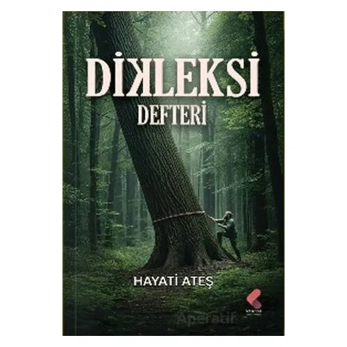 Dikleksi Defteri - Hayati Ateş - Klaros Yayınları