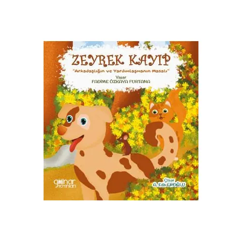 Zeyrek Kayıp - Fadime Özkaya Furtana - Gülnar Yayınları