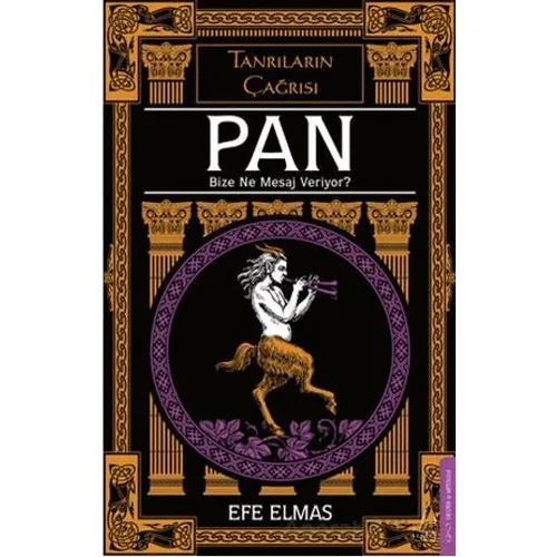 Pan Bize Ne Mesaj Veriyor? - Efe Elmas - Destek Yayınları