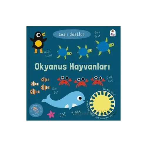 Sesli Dostlar – Okyanus Hayvanları (Sesli Kitap) - Kolektif - İndigo Çocuk