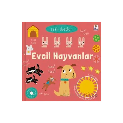 Sesli Dostlar – Evcil Hayvanlar (Sesli Kitap) - Kolektif - İndigo Çocuk