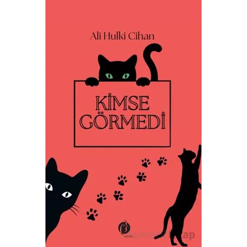 Kimse Görmedi - Ali Hulki Cihan - Herdem Kitap