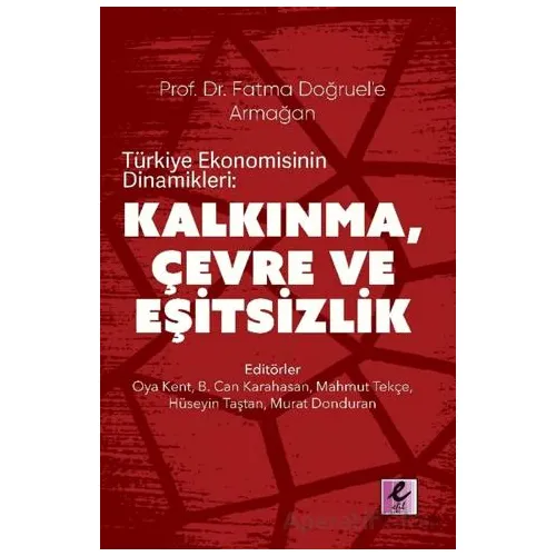 Türkiye Ekonomisinin Dinamikleri: Kalkınma, Çevre ve Eşitsizlik - Kolektif - Efil Yayınevi