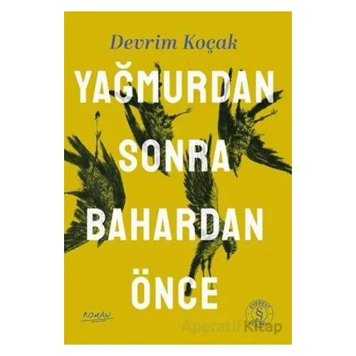 Yağmurdan Sonra Bahardan Önce - Devrim Koçak - Everest Yayınları