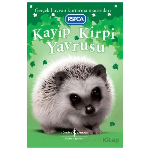 Kayıp Kirpi Yavrusu - Jill Hucklesby - İş Bankası Kültür Yayınları