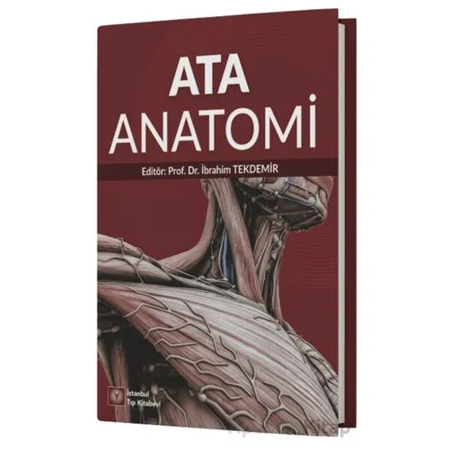 Ata Anatomi - Kolektif - İstanbul Tıp Kitabevi