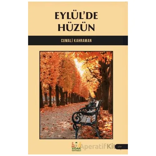 Eylül’de Hüzün - Cumali Kahraman - Sidar Yayınları