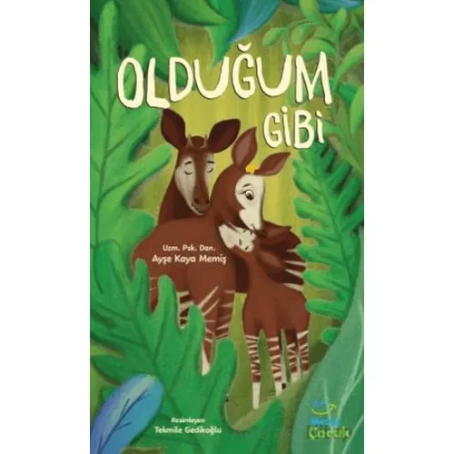 Olduğum Gibi - Ayşe Kaya Memiş - Mecaz Çocuk