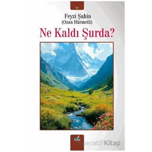 Ne Kaldı Şurda? - Feyzi Şahin - İzan Yayıncılık
