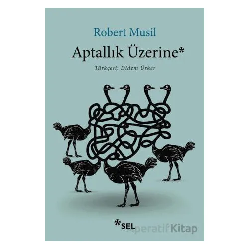 Aptallık Üzerine - Robert Musil - Sel Yayıncılık