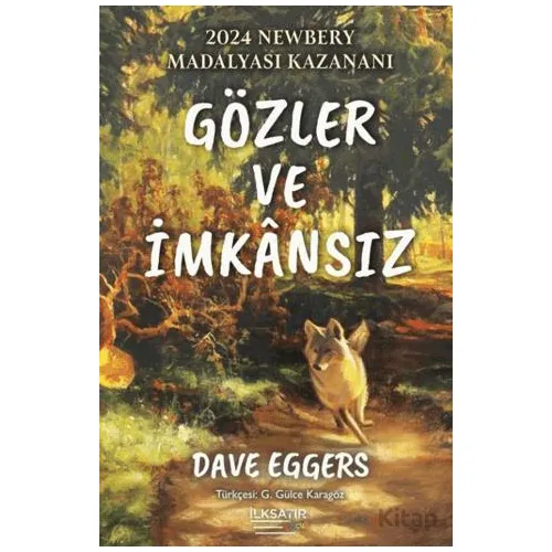 Gözler ve İmkansız - Dave Eggers - İlksatır Yayınevi