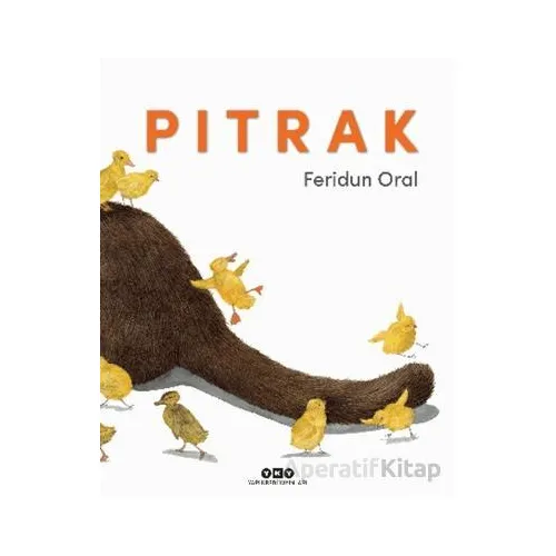 Pıtrak - Feridun Oral - Yapı Kredi Yayınları