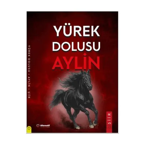 Yürek Dolusu Aylin Şiirleri - Aylin Erdemer - Alternatif Yayıncılık