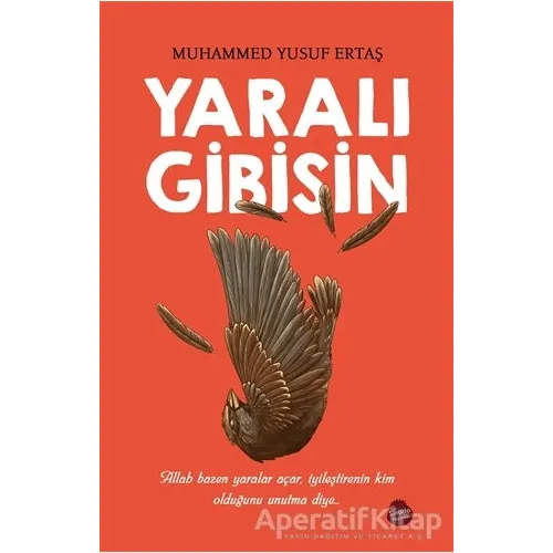 Yaralı Gibisin - Muhammed Yusuf Ertaş - Sinada Kitap