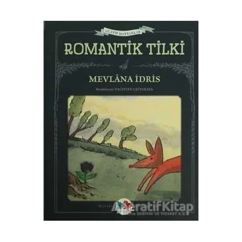 Romantik Tilki - Mevlana İdris - Vak Vak Yayınları