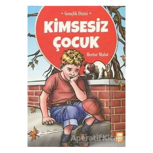 Kimsesiz Çocuk - Hector Malot - Ema Genç Yayınevi