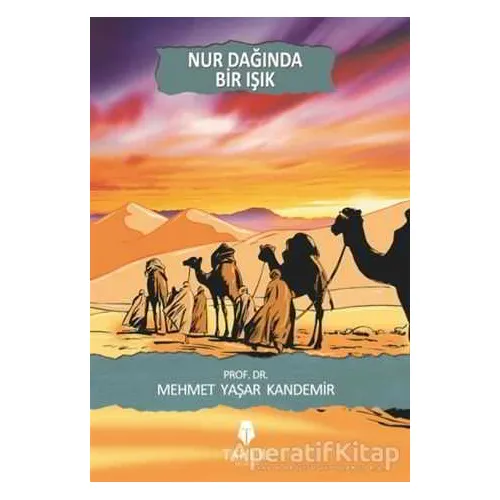 Nur Dağında Bir Işık - Mehmet Yaşar Kandemir - Tahlil Yayınları