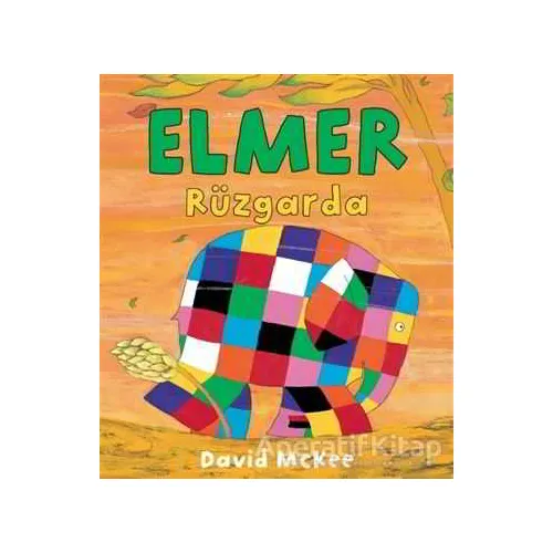 Elmer Rüzgarda - David McKee - Mikado Yayınları