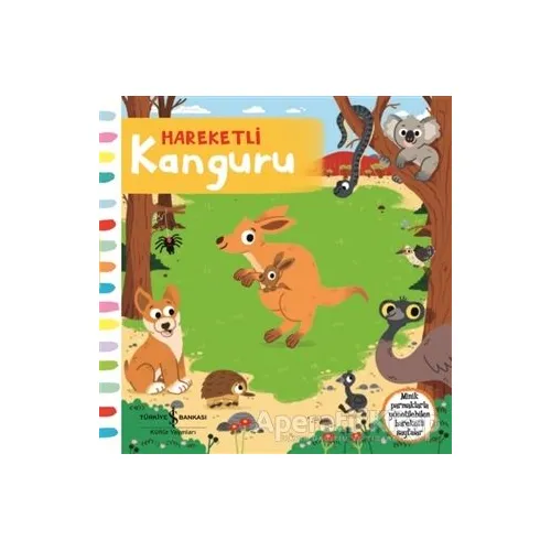 Hareketli Kanguru - Kolektif - İş Bankası Kültür Yayınları