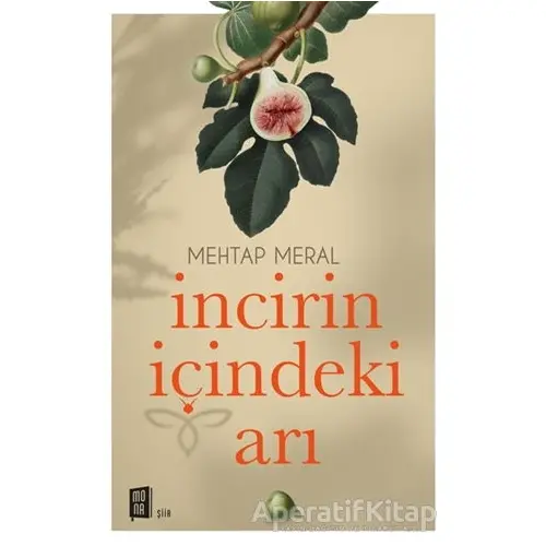 İncirin İçindeki Arı - Mehtap Meral - Mona Kitap