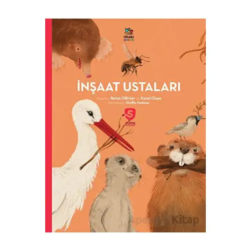 İnşaat Ustaları - Süper Hayvanlar Serisi - Reina Ollivier - İthaki Çocuk Yayınları