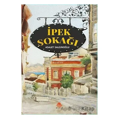 İpek Sokağı - Asalet Salgınoğlu - Meriç Yayınları