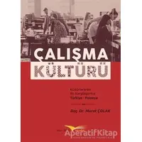 Çalışma Kültürü - Murat Çolak - Kitapana Yayınevi