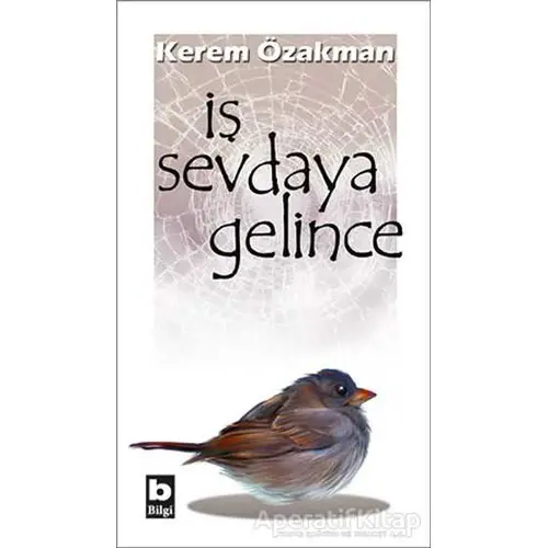 İş Sevdaya Gelince - Kerem Özakman - Bilgi Yayınevi