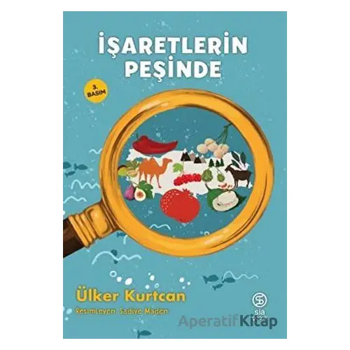 İşaretlerin Peşinde - Ülker Kurtcan - Sia Kitap