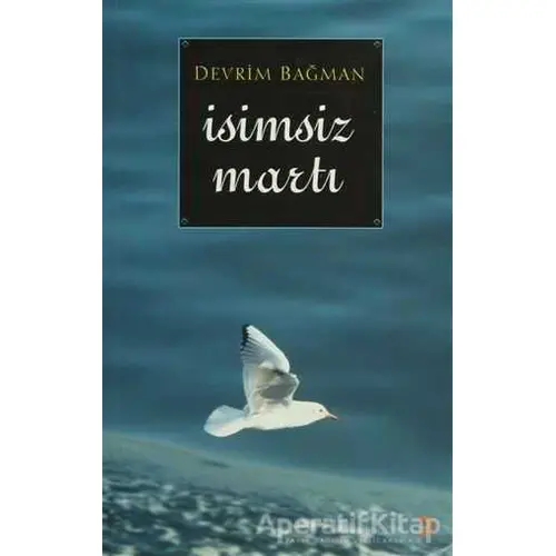 İsimsiz Martı - Devrim Bağman - Cinius Yayınları