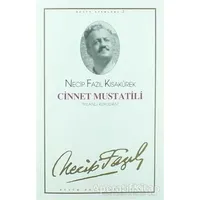 Cinnet Mustatili : 2 - Necip Fazıl Bütün Eserleri - Necip Fazıl Kısakürek - Büyük Doğu Yayınları