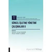 Güncel İşletme Yönetimi Çalışmaları II - Serkan Yılmaz Kandır - Akademisyen Kitabevi