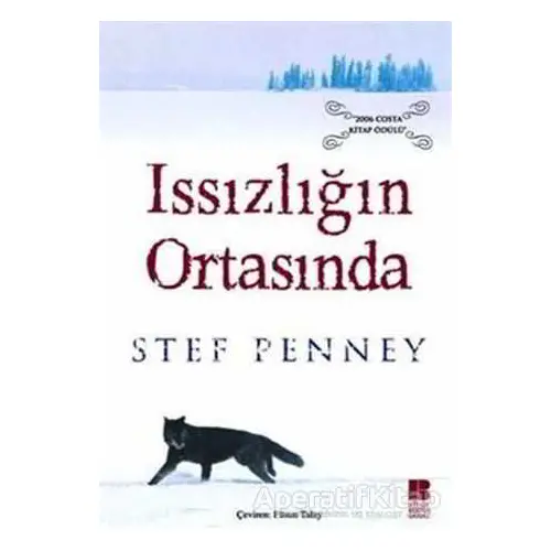 Issızlığın Ortasında - Stef Penney - Bilge Kültür Sanat