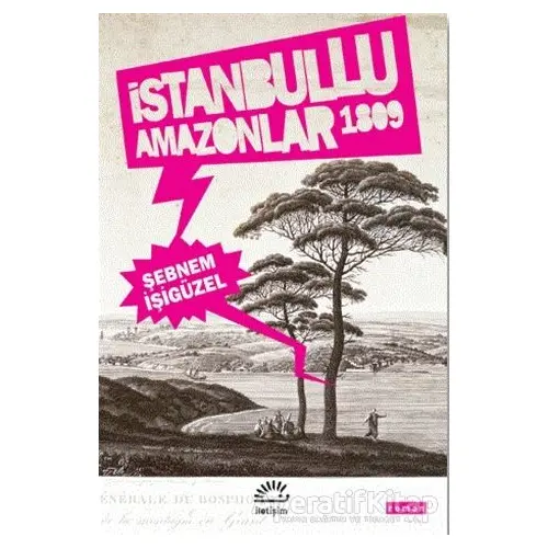 İstanbullu Amazonlar 1809 - Şebnem İşigüzel - İletişim Yayınevi