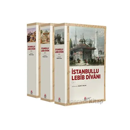 İstanbullu Lebib Divanı (3 Cilt, Takım) - Mehmet Arslan - DBY Yayınları