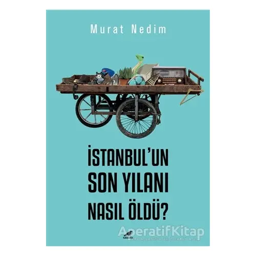 İstanbul’un Son Yılanı Nasıl Öldü? - Murat Nedim - Kara Karga Yayınları