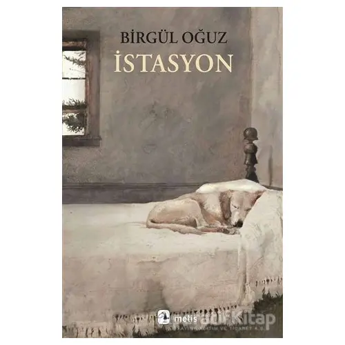 İstasyon - Birgül Oğuz - Metis Yayınları