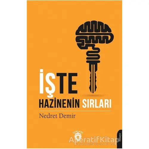 İşte Hazinenin Sırları - Nedret Demir - Dorlion Yayınları