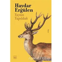 Yayan Yapıldak - Haydar Ergülen - İthaki Yayınları