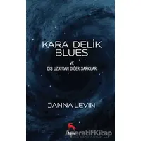 Kara Delik Blues ve Dış Uzaydan Diğer Şarkılar - Janna Levin - Nora Kitap