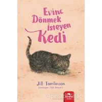 Evine Dönmek İsteyen Kedi - Jill Tomlinson - Redhouse Kidz Yayınları