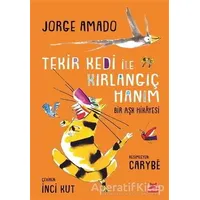 Tekir Kedi ile Kırlangıç Hanım - Jorge Amado - Kırmızı Kedi Çocuk